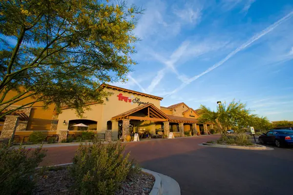 Desert trees and shrubs framing the storefronts and entry drive at Hayden Peak Crossing