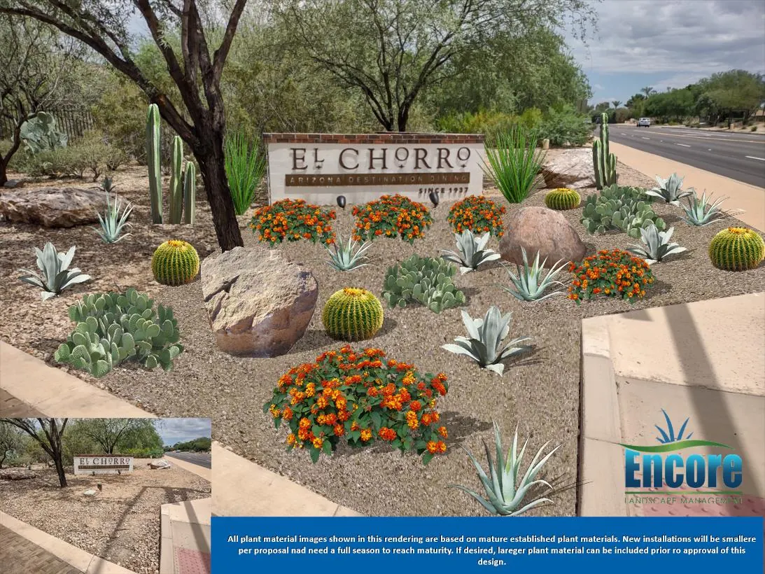 Landscape design rendering for the El Chorro entrance sign, with agaves, barrel cactus and orange flowering plants