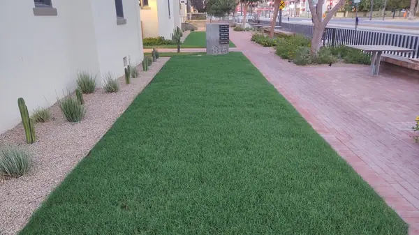 Freshly mowed strip of lawn bordered by desert planting and a walkway
