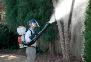 Spray Services